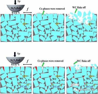 北工大《JAC》:提高WC-Co超粗晶硬質(zhì)合金的耐磨性研究!